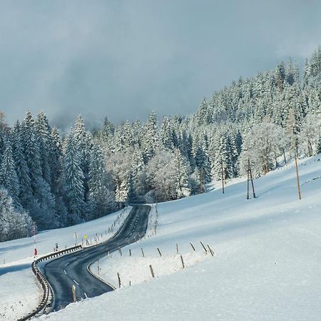 فيلا Ferienbauernhof Elmaugut Mühlbach am Hochkönig المظهر الخارجي الصورة