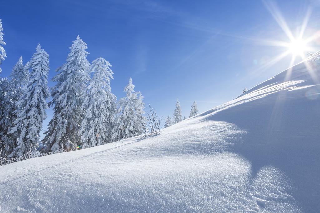 فيلا Ferienbauernhof Elmaugut Mühlbach am Hochkönig المظهر الخارجي الصورة